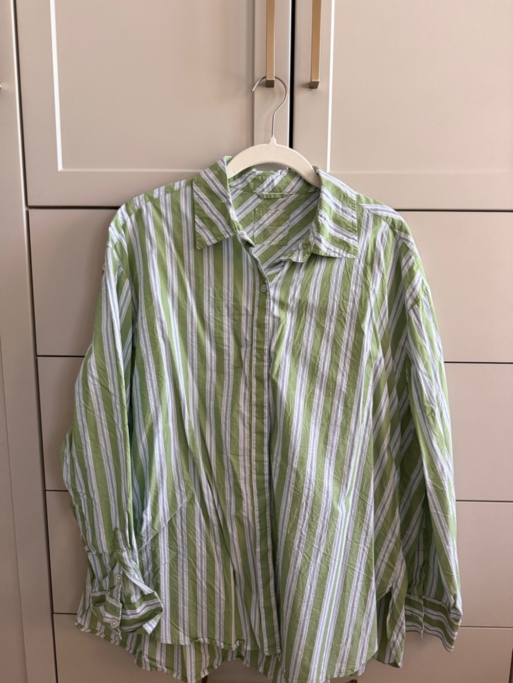 aerie Green and White Striped Button-Down Shirt